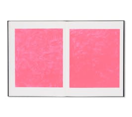 STAINLESS STEEL / FLUORESCENT PINK